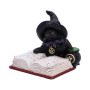 Gattino Familiar's Brew by Nemesis Now Collection