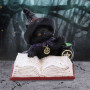 Gattino Familiar's Brew by Nemesis Now Collection