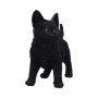 Gattino Charmed companion by Nemesis Now Collection