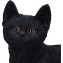 Gattino Charmed companion by Nemesis Now Collection