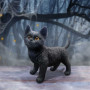 Gattino Charmed companion by Nemesis Now Collection