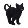 Gattino Moonlight Watcher by Nemesis Now Collection