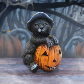 Gattino Trick or Treat by Nemesis Now