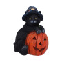 Gattino Trick or Treat by Nemesis Now