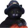 Gattino Trick or Treat by Nemesis Now