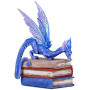 Drago a scuola by Pacific Trading