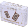 Harry Potter Hogwarts ticket - Nemesis Now