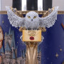Boccale Harry Potter Hogwarts - Nemesis Now