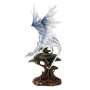 Sapiens Drago - Nemesis Now Collection