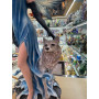 Fata Celeste con lupo Bianco - Fairyland Collection
