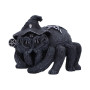 Archnias occult spider - Nemesis Now