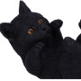 Gattino Familiar Helper - Nemesis Now