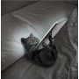 Gattino Familiar Helper - Nemesis Now