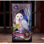 Portafoglio Guardian of Spells by Lisa Parker