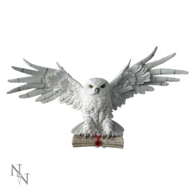 Gufo magico messaggero by Nemesis Now